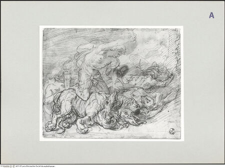 Vorderseite von bh511451_recto