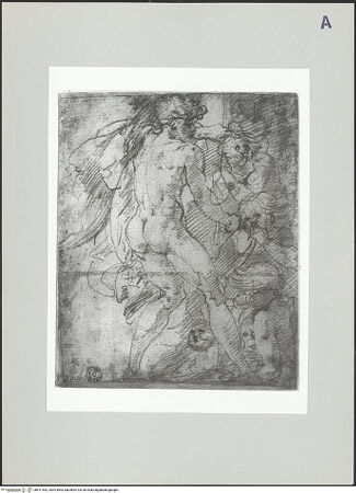 Vorderseite von bh511452_recto