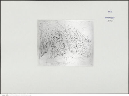 Vorderseite von bh511487_recto