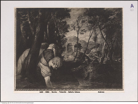 Vorderseite von bh511497_recto