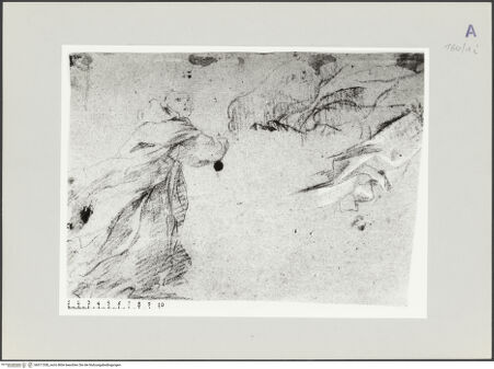 Vorderseite von bh511538_recto