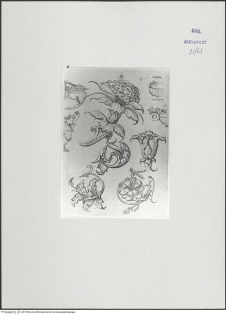 Vorderseite von bh511596_recto