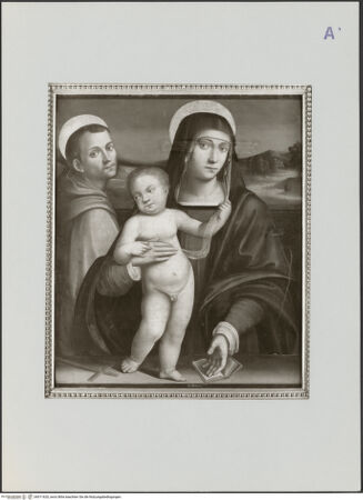 Vorderseite von bh511620_recto