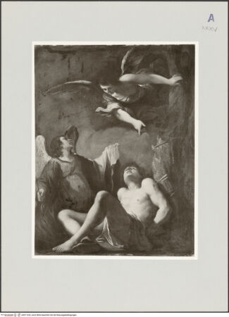 Vorderseite von bh511632_recto