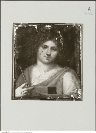 Vorderseite von bh511636_recto