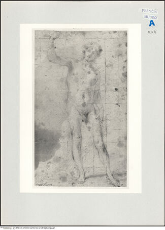 Vorderseite von Réunion des Musées Nationaux [https://www.deutsche-digitale-bibliothek.de/content/lizenzen/rv-ez/] Stehender Akt - , bh511922_recto. Foto.