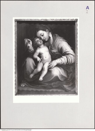 Vorderseite von bh512146_recto