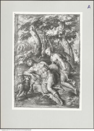 Vorderseite von bh512239_recto