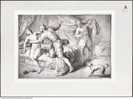 Vorderseite von bh512252_recto