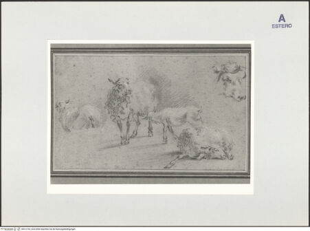 Vorderseite von bh512752_recto