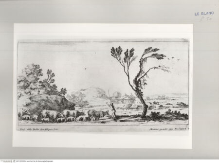 Vorderseite von Istituto Nazionale per la Grafica [http://creativecommons.org/publicdomain/mark/1.0/] Erste Folge von vier LandschaftenTafel 2: Landschaft mit einem Hirten und seiner Herde - , bh513033. Foto.