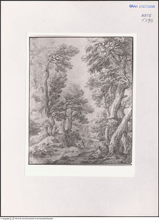 Vorderseite von bh513349_recto