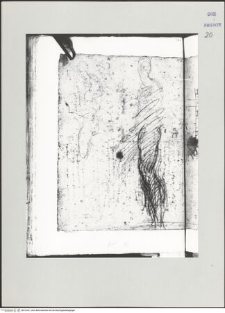 Vorderseite von bh513361_recto