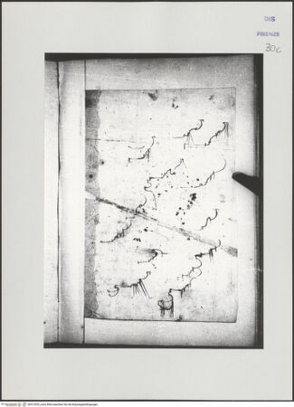 Vorderseite von bh513395_recto