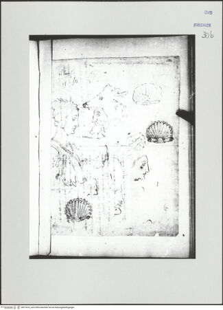 Vorderseite von bh513416_recto