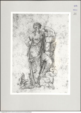 Vorderseite von bh513619-1_bh513619-2_recto