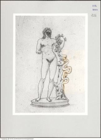 Vorderseite von bh513637_recto