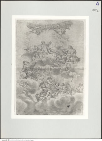 Vorderseite von bh513871_recto