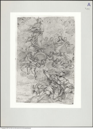 Vorderseite von bh513894_recto