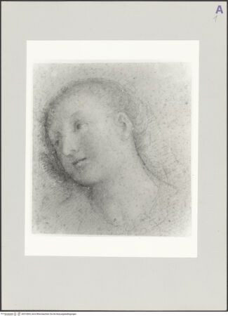 Vorderseite von bh514093_recto