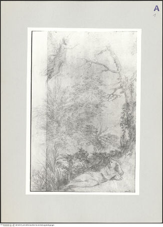 Vorderseite von bh514102_recto