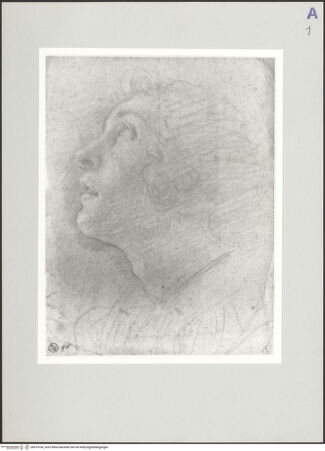 Vorderseite von bh514106_recto