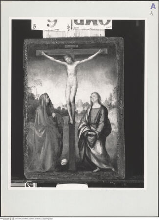 Vorderseite von bh514475_recto