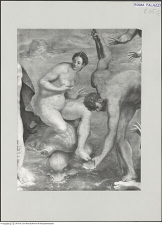 Vorderseite von bh514761_recto