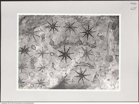 Vorderseite von Sigismondi, Roberto [https://www.deutsche-digitale-bibliothek.de/content/lizenzen/rv-fz/] Gewölbedekoration - Detail: Sterne, bh514933_recto. Foto: Sigismondi, Roberto.