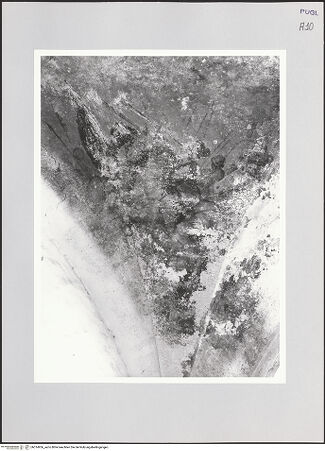 Vorderseite von bh514956_recto