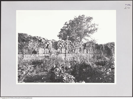 Vorderseite von bh514969_recto