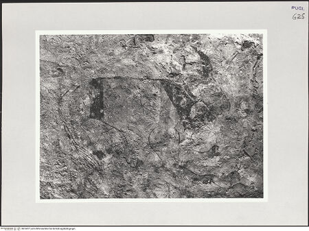 Vorderseite von Sigismondi, Roberto [https://www.deutsche-digitale-bibliothek.de/content/lizenzen/rv-fz/] Gewölbedekoration - Detail: Löwe, bh514977_recto. Foto: Sigismondi, Roberto.