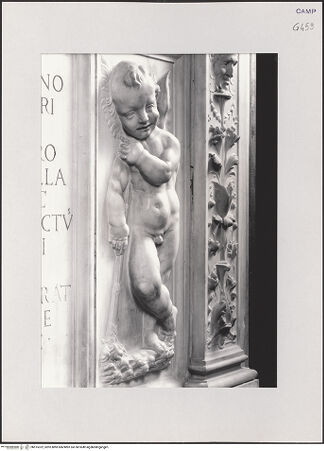 Vorderseite von Pedicini, Luciano [https://www.deutsche-digitale-bibliothek.de/content/lizenzen/rv-ez/] Grabmal des Galeazzo III Pandone (gest. 1514) - Detail: Putto, rechts, bh515322_recto. Foto: Pedicini, Luciano.