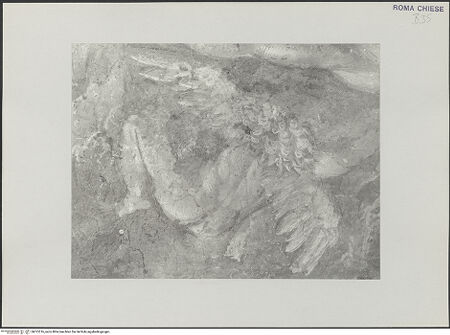 Vorderseite von bh515516_recto