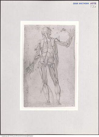 Vorderseite von bh515541_recto