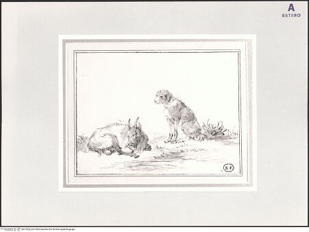 Vorderseite von bh515556_recto