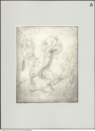 Vorderseite von bh515595_recto