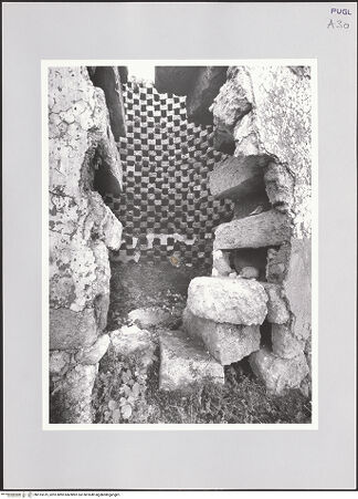 Vorderseite von bh515619_recto