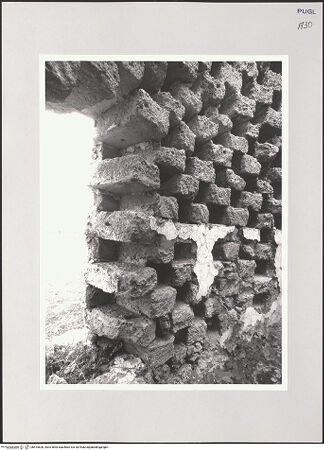 Vorderseite von bh515620_recto