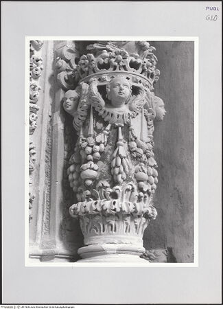 Vorderseite von bh515636_recto