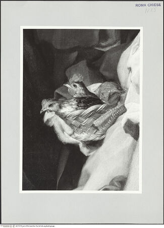 Vorderseite von bh515702_recto