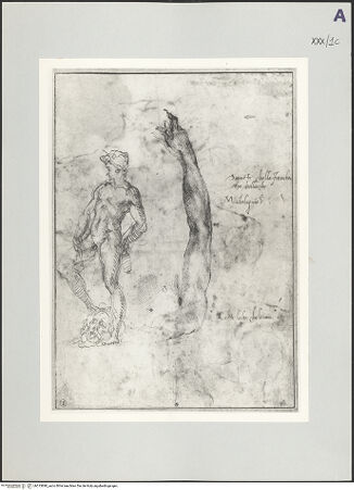 Vorderseite von bh515890_recto