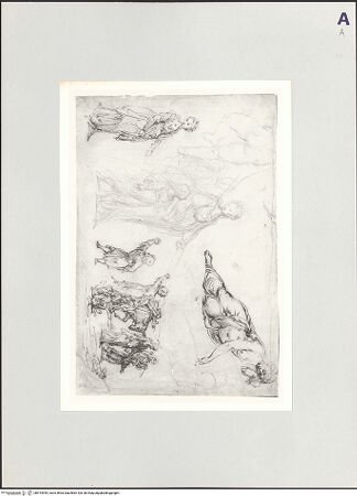 Vorderseite von bh515945_recto