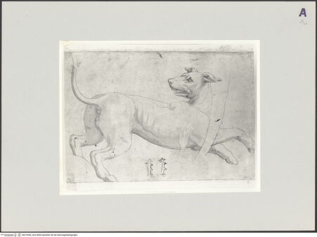 Vorderseite von bh515956_recto