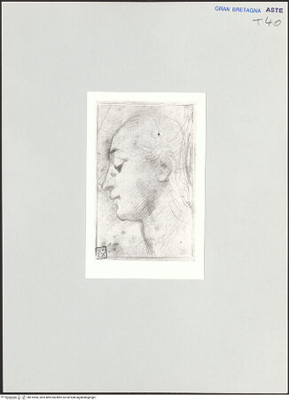 Vorderseite von bh515984_recto