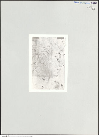 Vorderseite von bh515985_recto