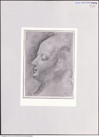 Vorderseite von bh515991_recto