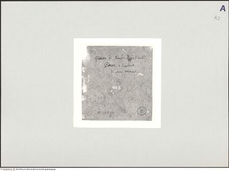 Vorderseite von bh515995_recto