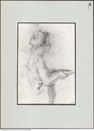 Vorderseite von bh516033_recto