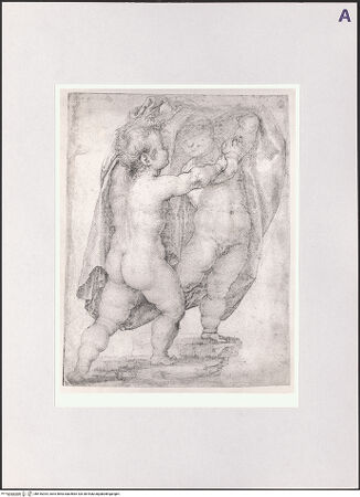 Vorderseite von bh516034_recto